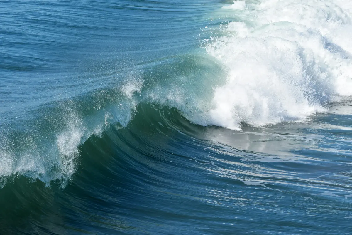 Exploring the Health Benefits of Seawater Consumption: A Comprehensive Guide