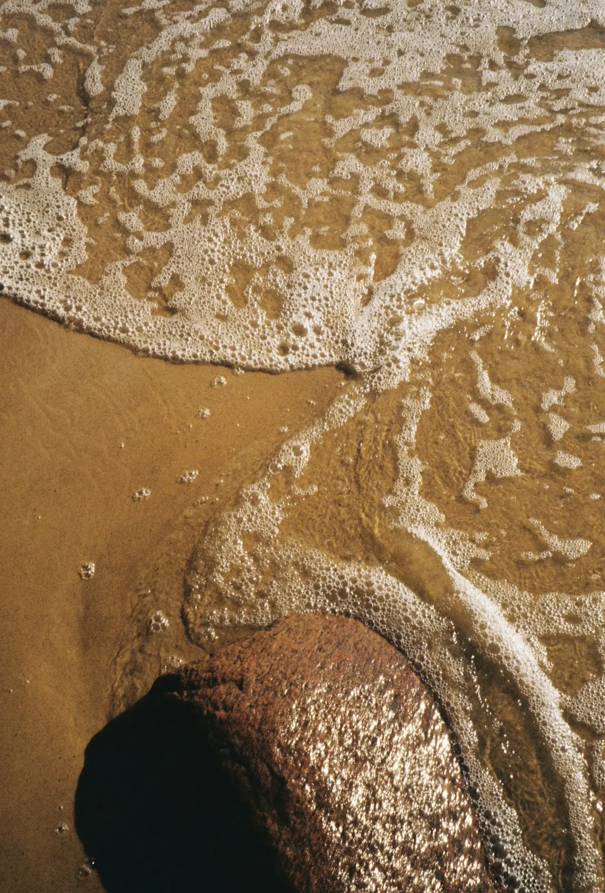 Exploring the Health Benefits of Seawater Consumption: A Comprehensive Guide