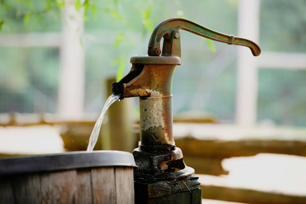 Exploring the Health Benefits of Seawater Consumption: A Comprehensive Guide