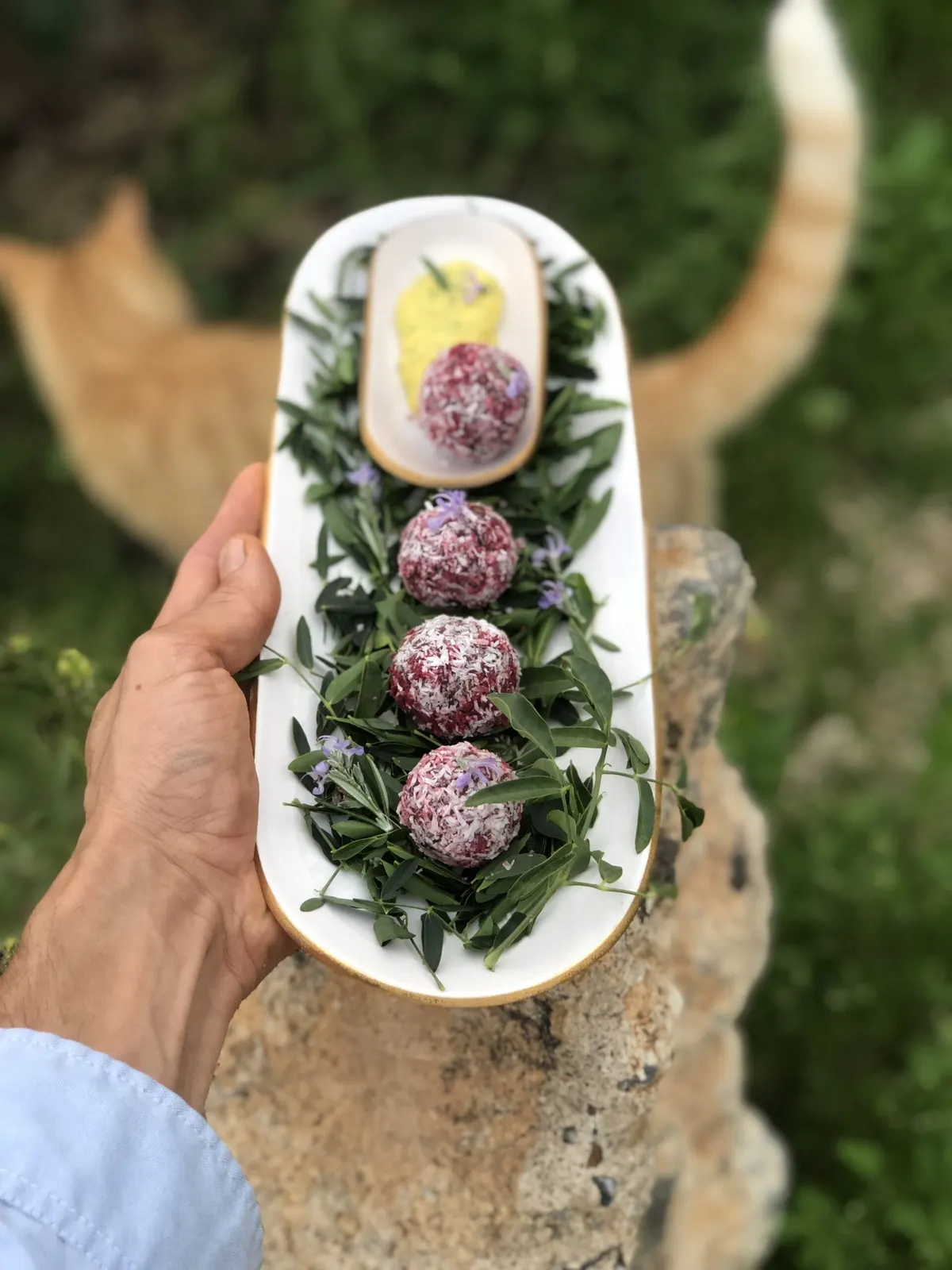 PINK PANTHER ENERGY BALLS