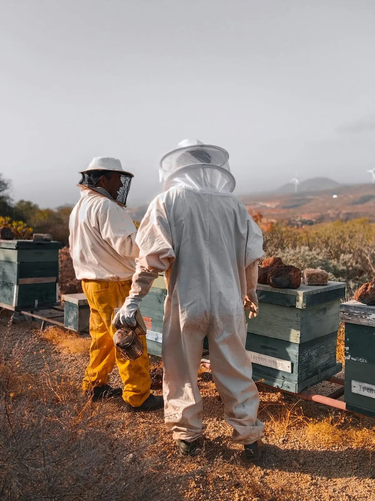 Discover the Unique Organic Honey from Ecohotel El Agua
