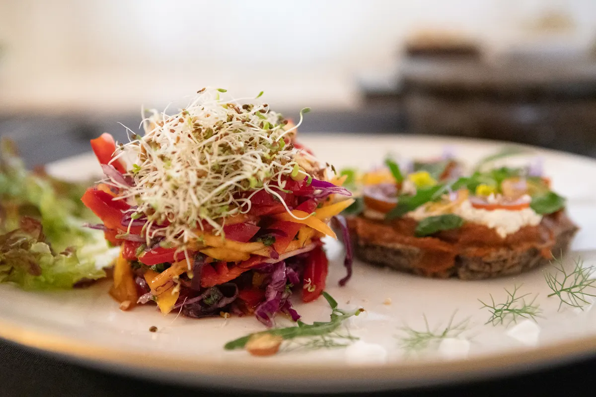EcoHotel El Agua: A Sustainable Luxury Haven for Holistic Health