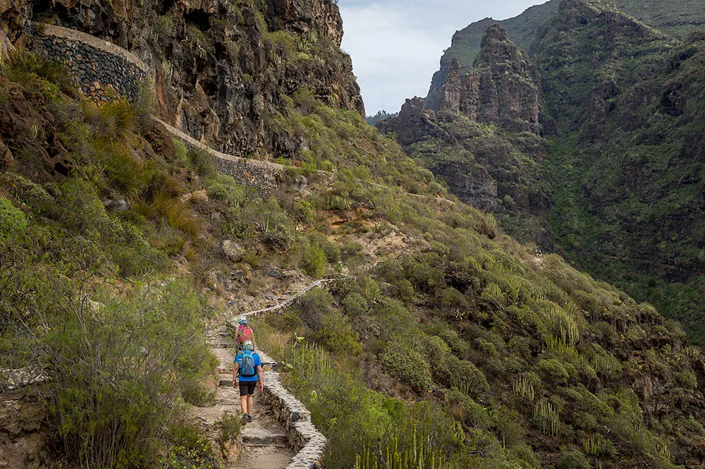The best places to see in Tenerife near of EcoHotel El Agua
