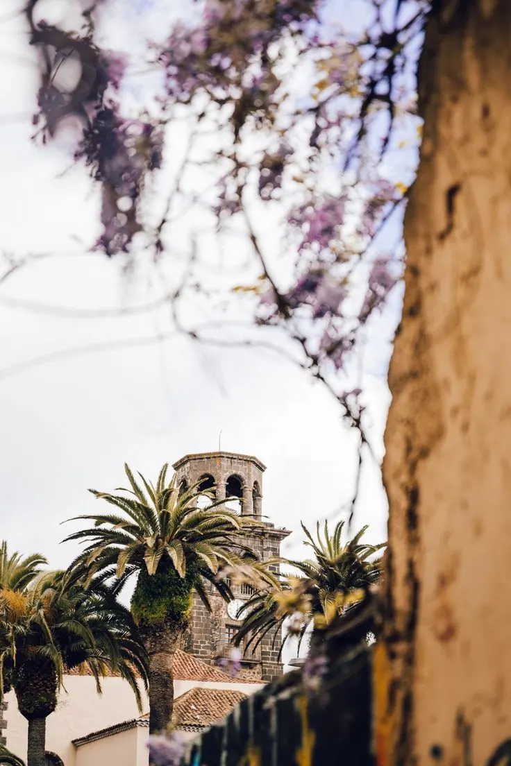 The best places to see in Tenerife near of EcoHotel El Agua