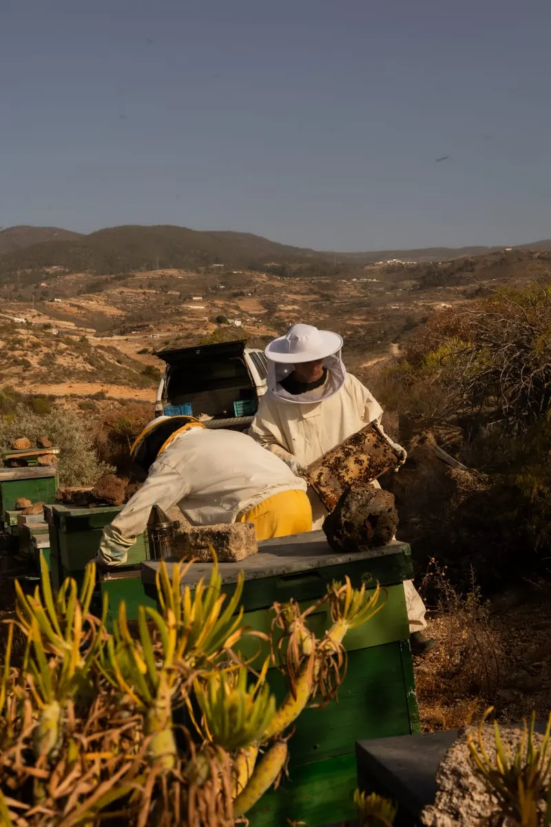 NĀMI, Healthy & Delicious: The Future of Gastronomy at EcoHotel El Agua