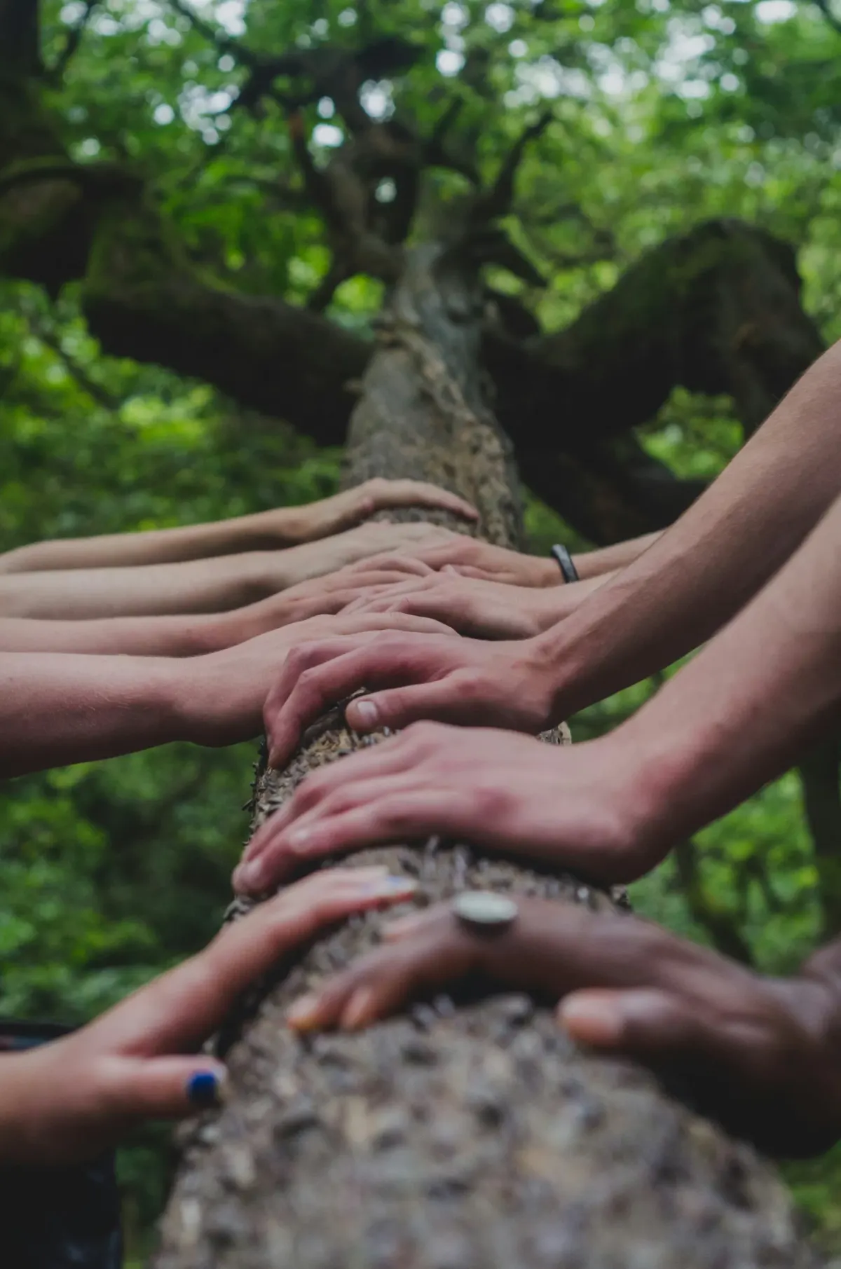 Embark on a Transformative Experience: Upcoming Retreats with International Coaches at Eco Hotel El Agua, Tenerife