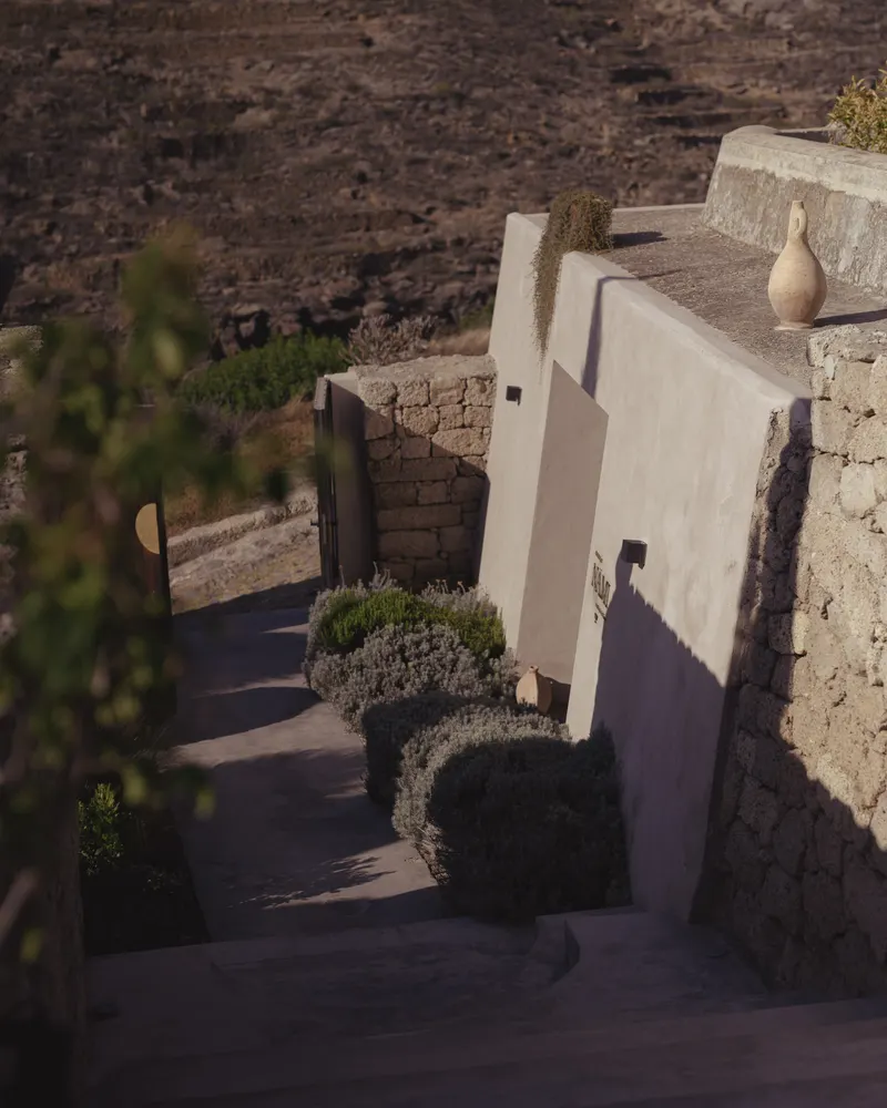 Villa Mimosa — photo 2