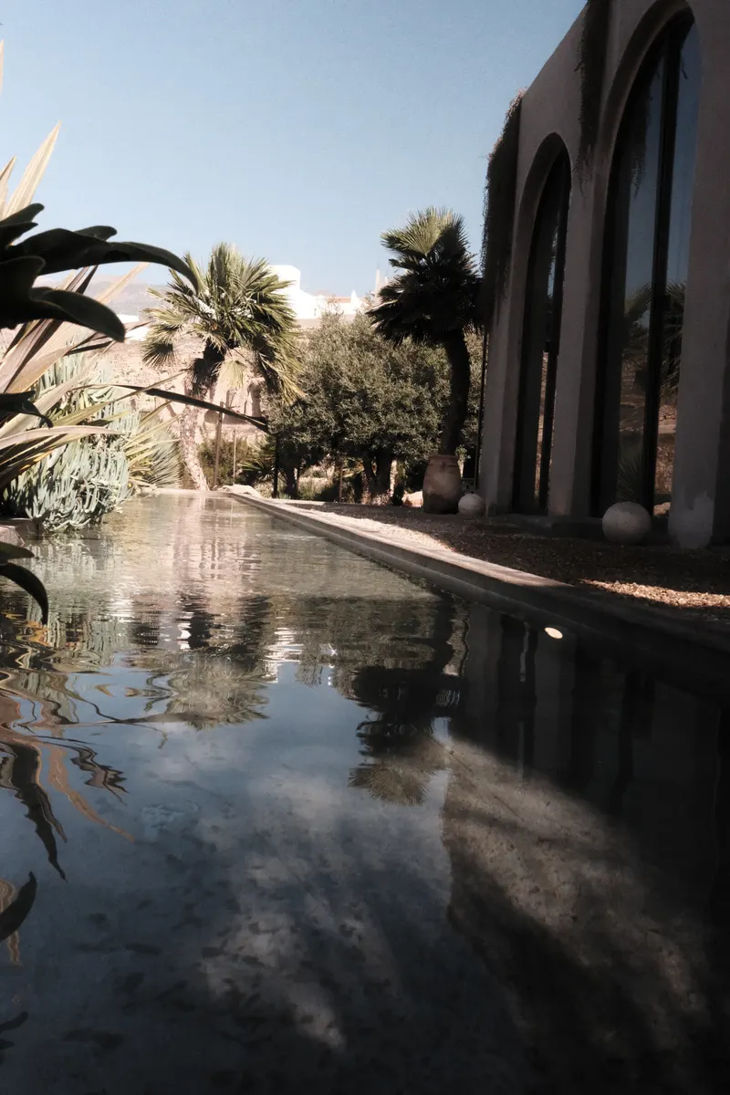Villa Mimosa — photo 10