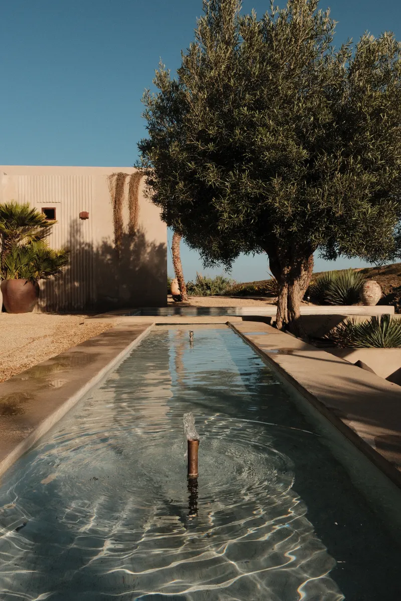 Villa Mimosa — photo 11