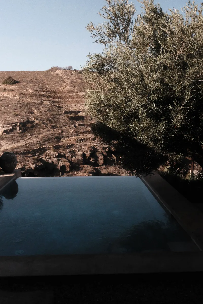 Villa Mimosa — photo 46