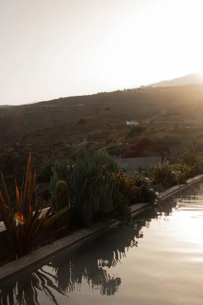 Villa Mimosa — photo 47
