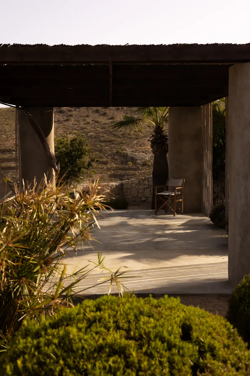 Three Palms — photo 2