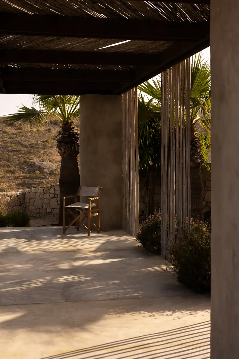 Three Palms — photo 3