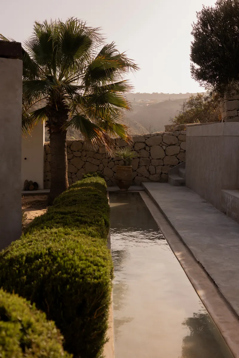 Three Palms — photo 4