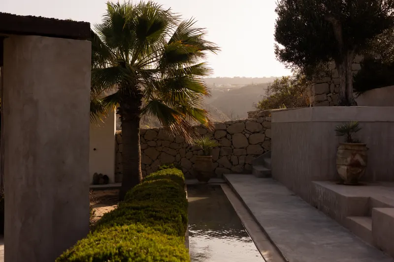 Three Palms — photo 5