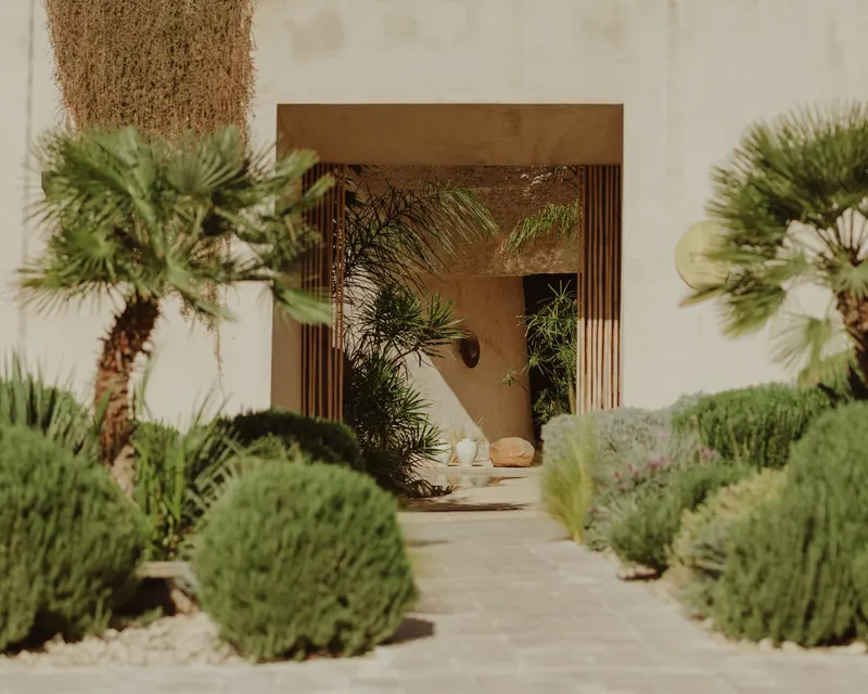 Three Palms — photo 14