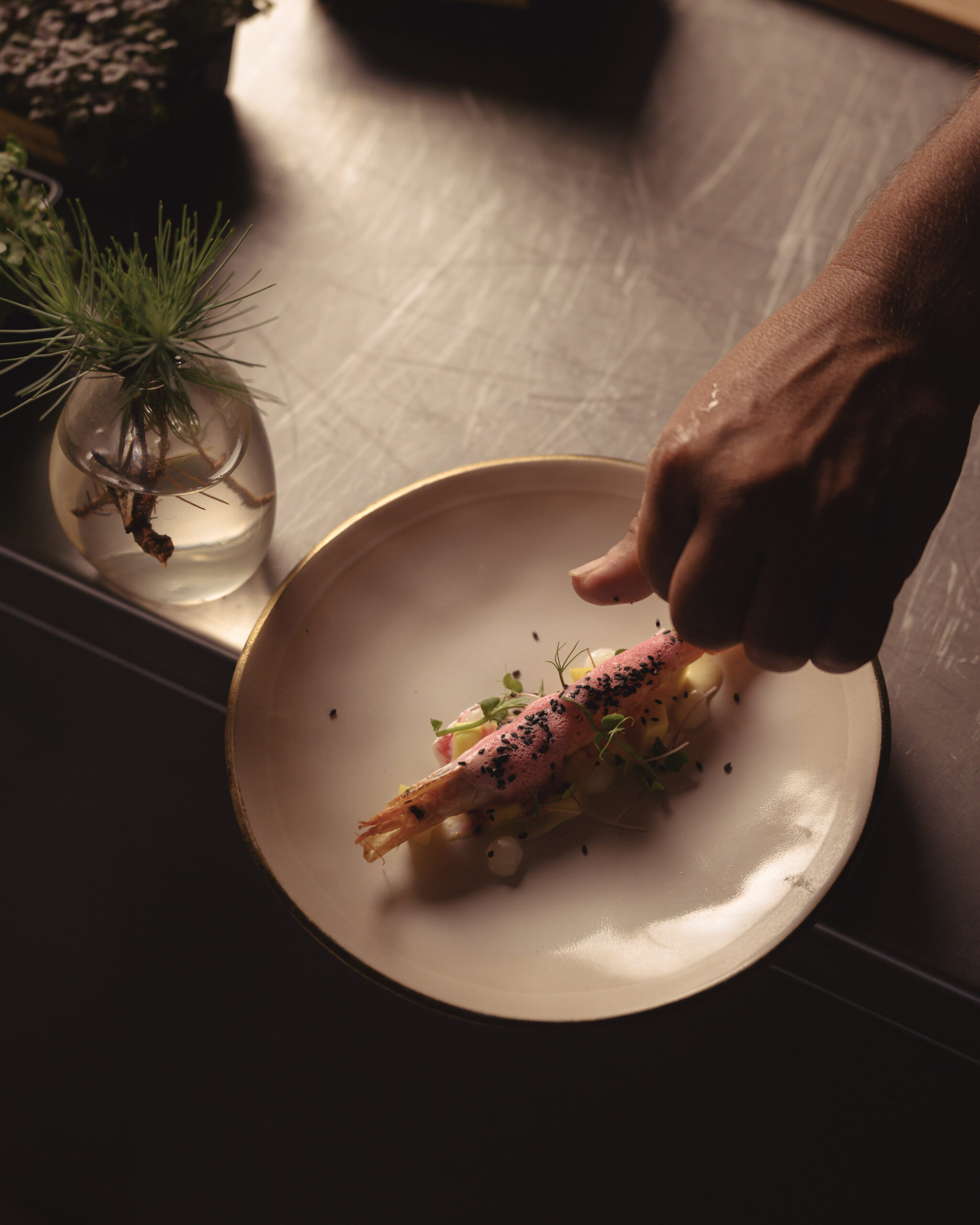 Precision on the plate
