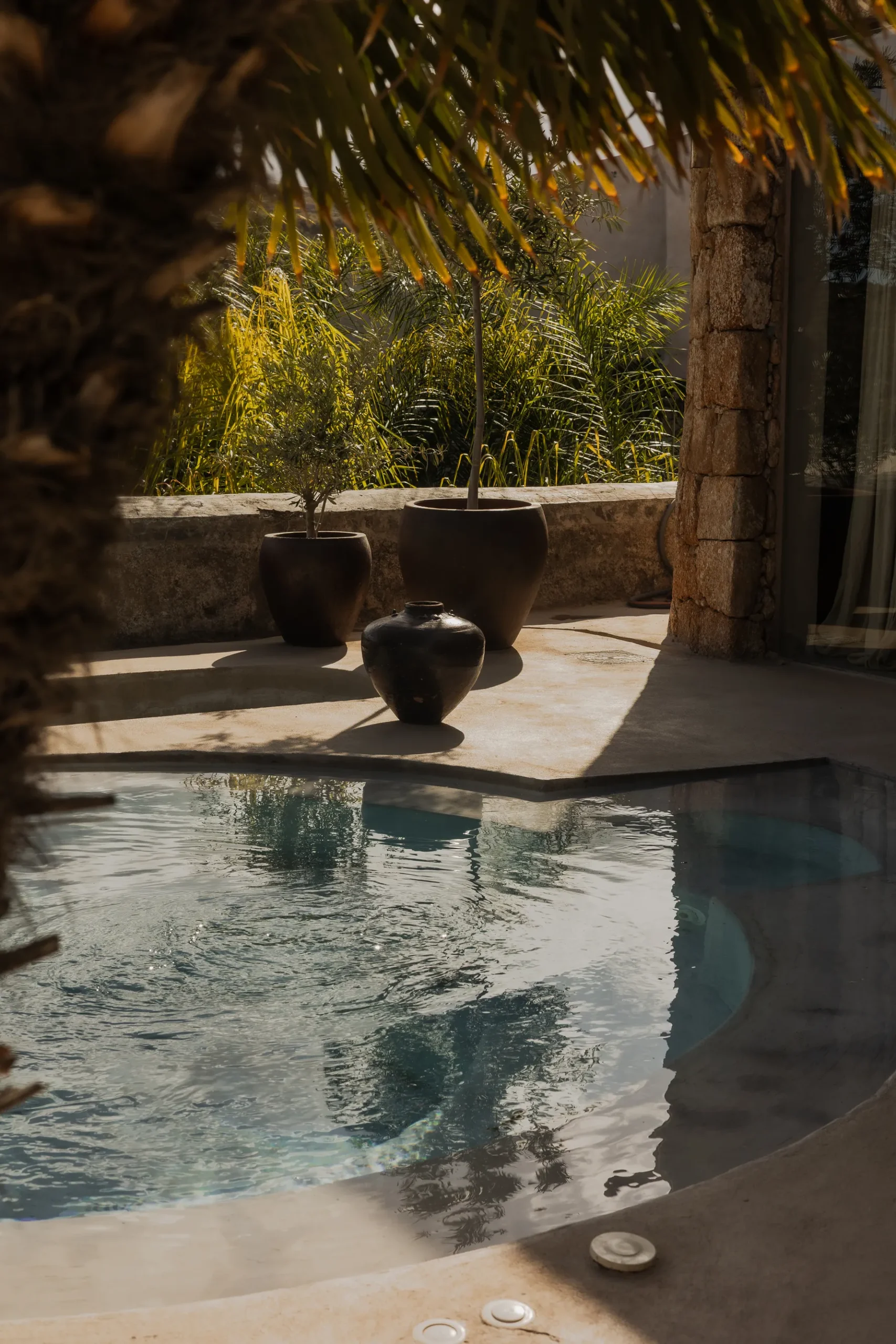 EcoHotel El Agua, vista 1
